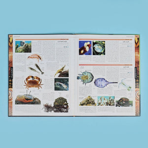 The Ultimate Animal Encyclopedia - 7 Volumes DK - Fun Learning Store