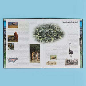 The Ultimate Animal Encyclopedia - 7 Volumes DK - Fun Learning Store