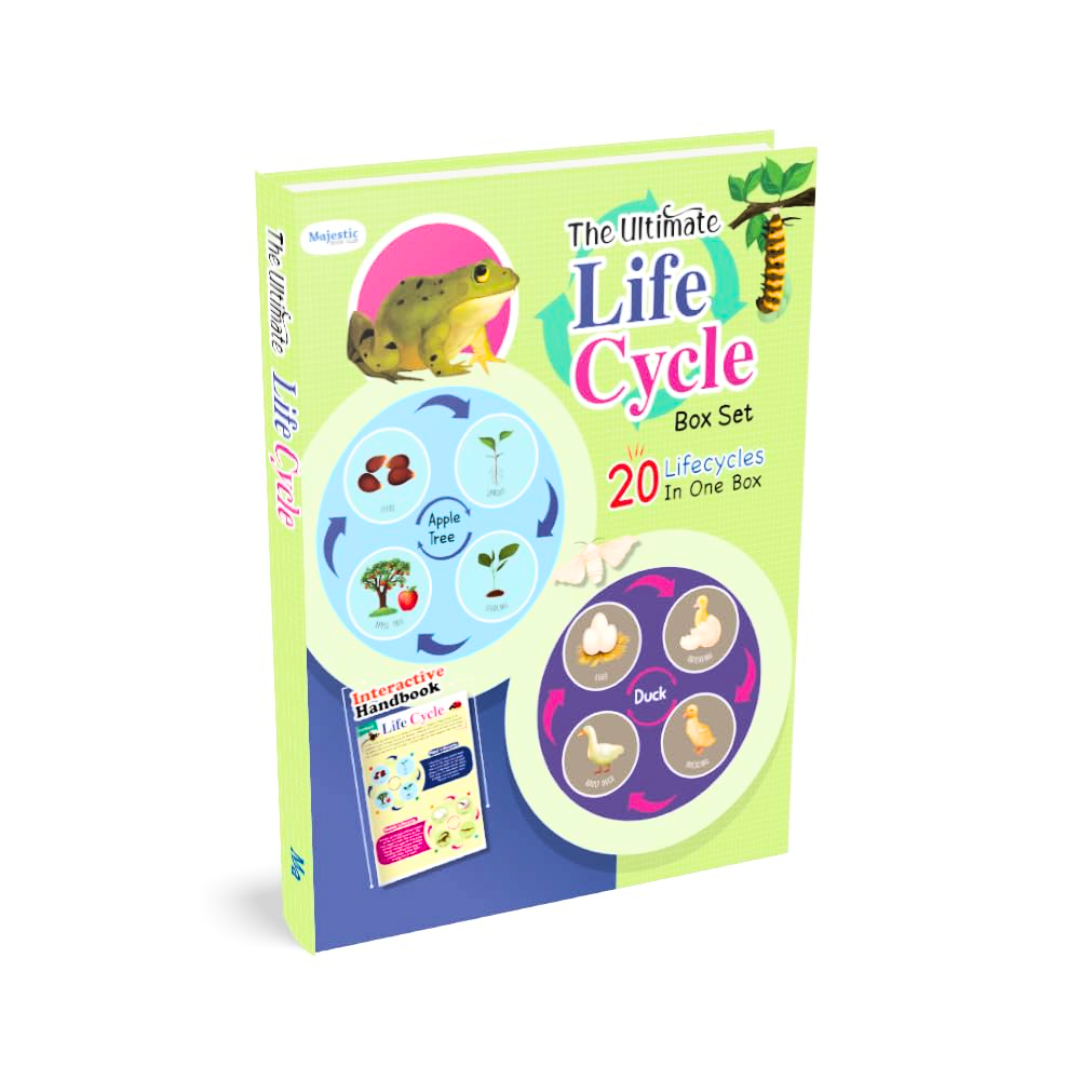 Ultimate Life Cycle Toys for Kids, Learning & Educational Toys, Montessori Toys for Toddler Preschool Science Learning Activities Toys for Age 3 4 5 6 7 8+