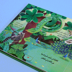 Fun Book Series: Explore the Jungle Animal Kingdom | Interactive Learning Adventure for Kids
سلسله كتاب المرح - مملكة الحيوان - كتاب الغابة متجر fun learning store