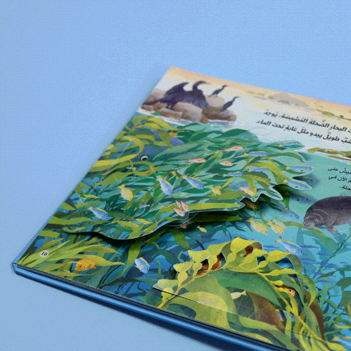 Fun Book Series: Explore The Ocean Animal Kingdom | Interactive Learning Adventure for Kids
سلسلة كتاب المرح المحيط متجر fun learning 