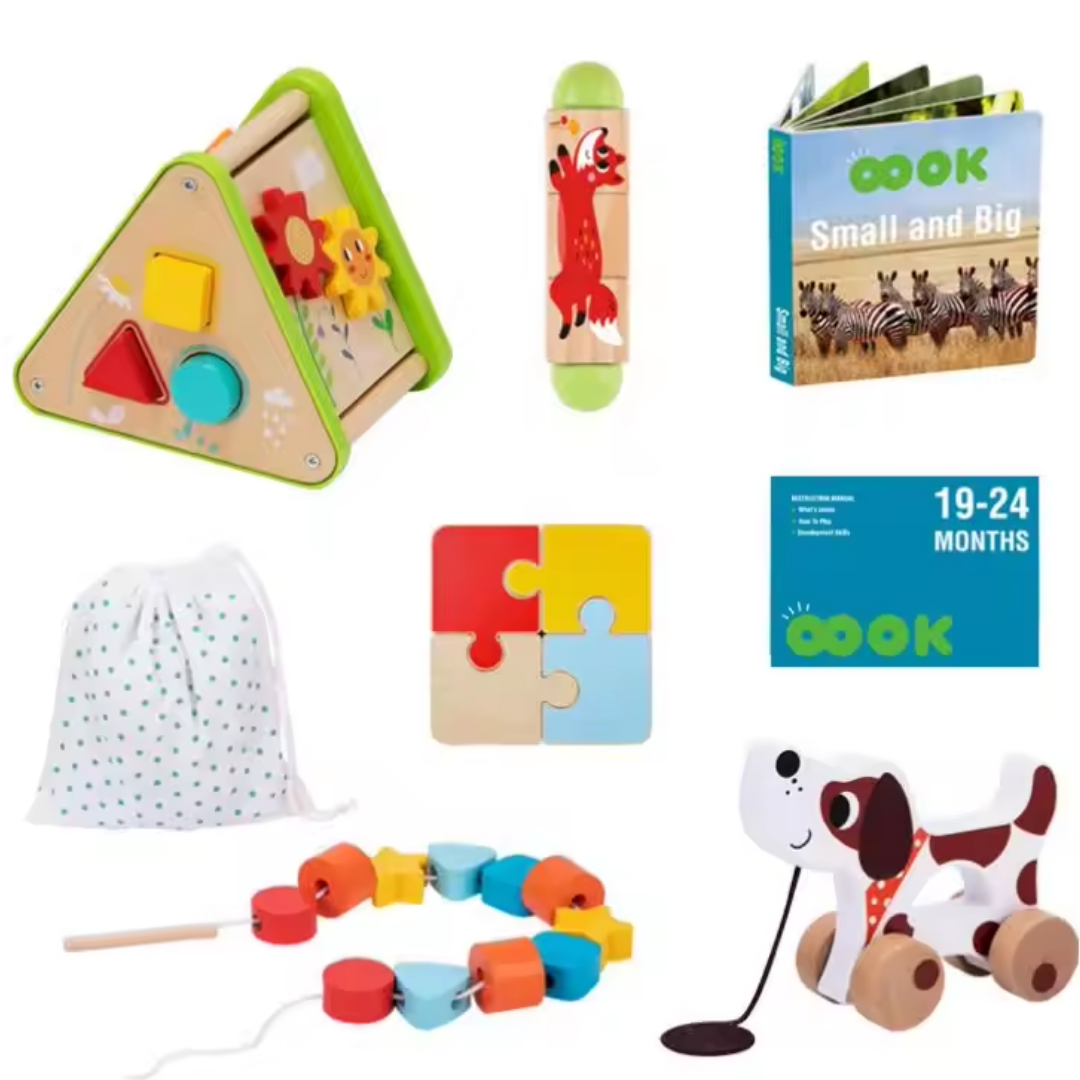 Montessori Baby Toys: 6-in-1 Learning Educational Set for Toddlers 19-24 Months - Ideal Toy Gifts