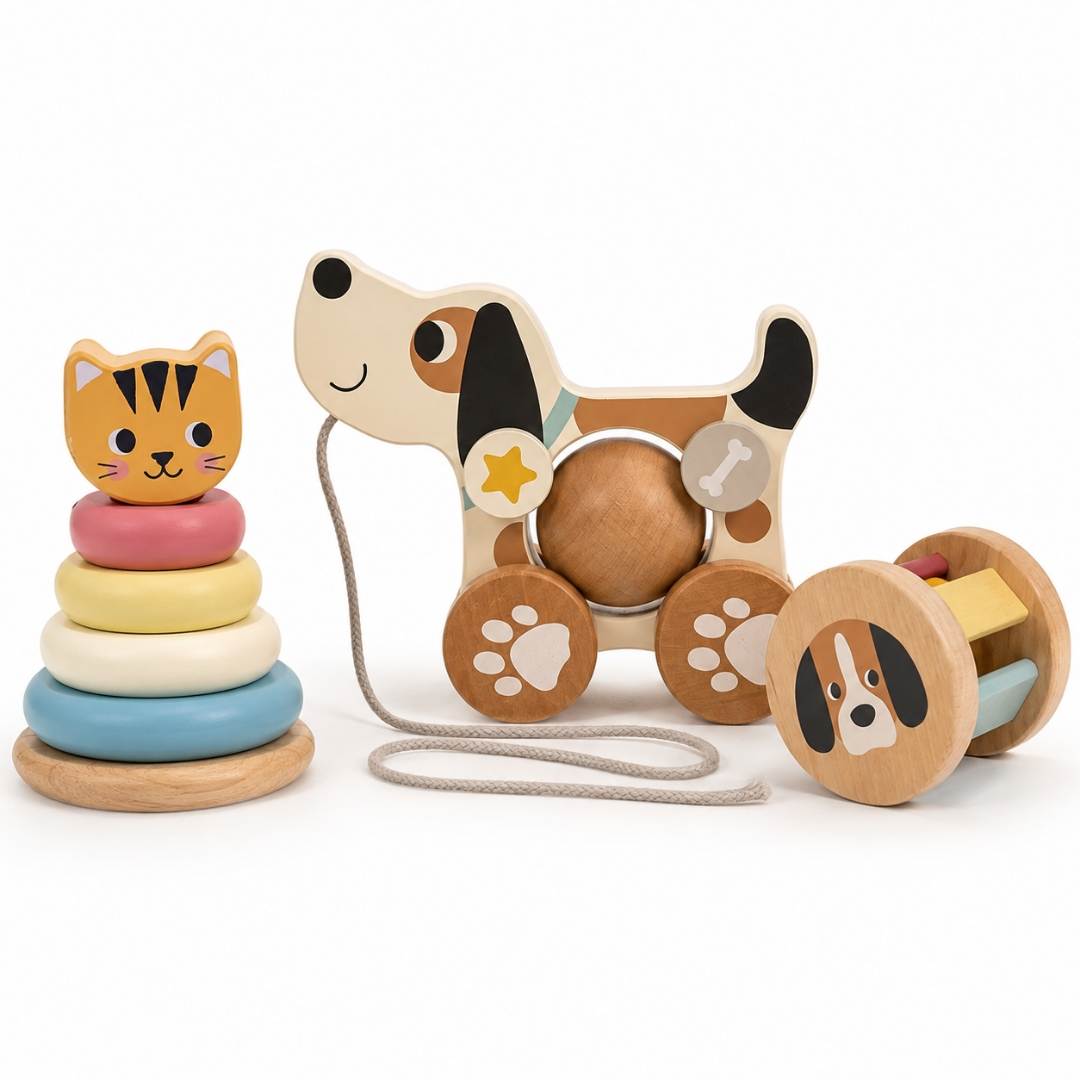 3 In 1 Gift Box – The Ultimate Playtime Trio For Tiny Hands - Fun Learning Store
