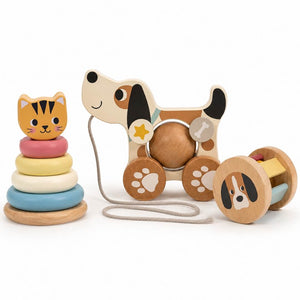 3 In 1 Gift Box – The Ultimate Playtime Trio For Tiny Hands - Fun Learning Store