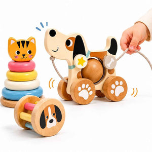 3 In 1 Gift Box – The Ultimate Playtime Trio For Tiny Hands - Fun Learning Store