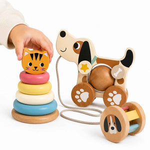 3 In 1 Gift Box – The Ultimate Playtime Trio For Tiny Hands - Fun Learning Store