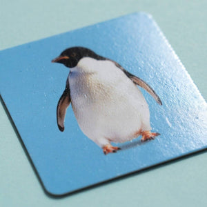 4 - Level Visual Aid Cards for Object Recognition - Enhance Your Baby's Learning - Fun Learning Store