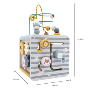 5-in-1 Activity Cube: The Ultimate Hub for Little Explorers - Fun Learning Store