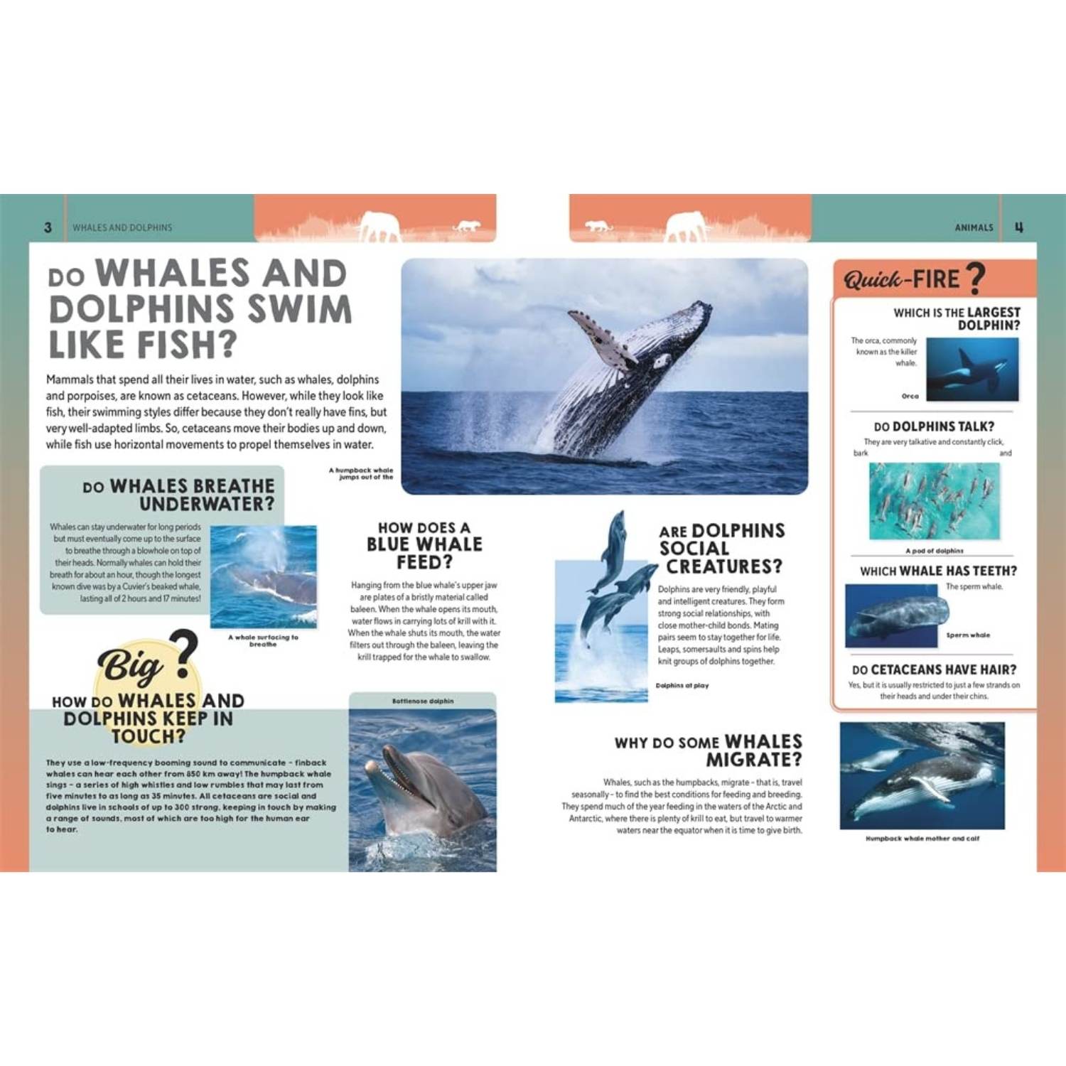 Ultimate Questions & Answers: Animals & Nature - The Wild Fact Book Every Curious Kid Needs!