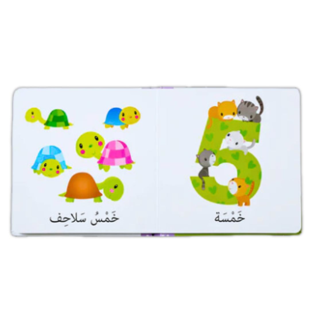 Number Learning Book for kids in Arabic