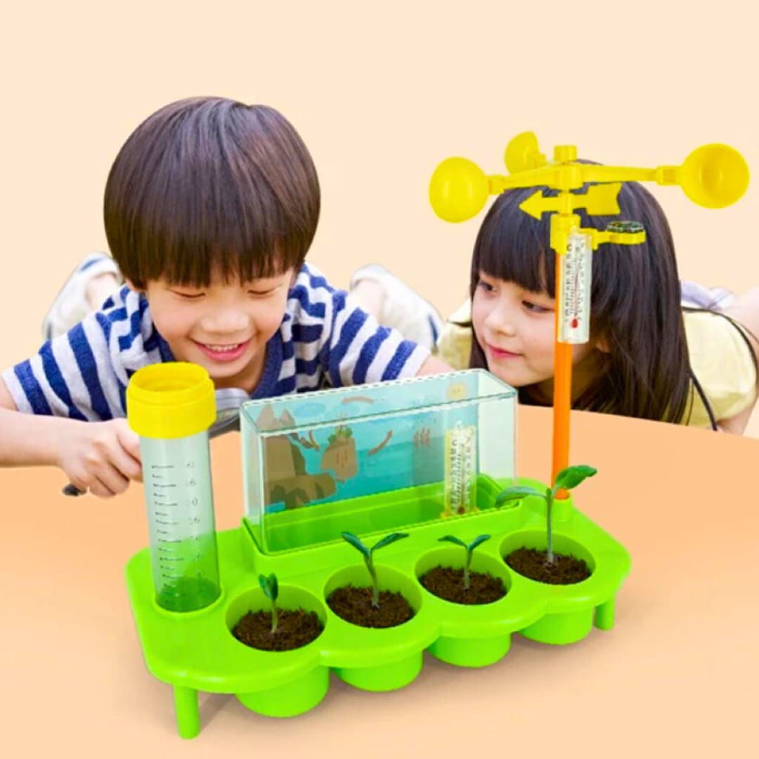 Scientific Experimental Teaching DIY Labs Kits Biological Ecological Grow Plants & Flowers Best Toy Gifts For Kid Children