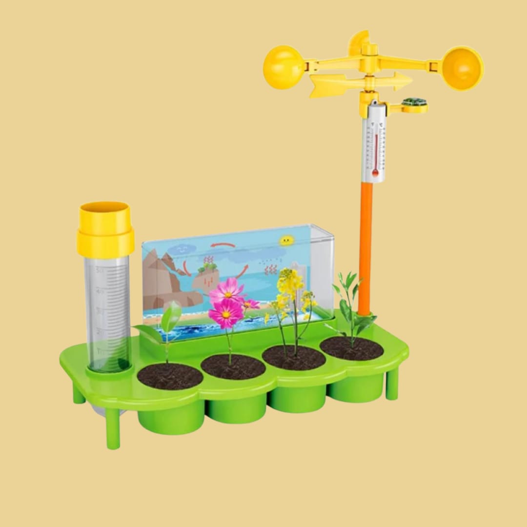 Scientific Experimental Teaching DIY Labs Kits Biological Ecological Grow Plants & Flowers Best Toy Gifts For Kid Children
