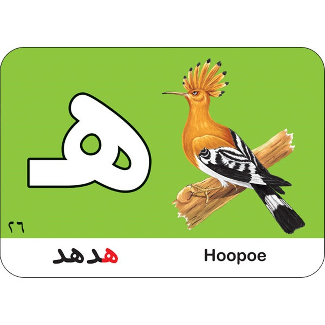 Alphabet Stories Cards: Engaging Arabic Alphabet Learning for Kids |+3 Years - Fun Learning Store