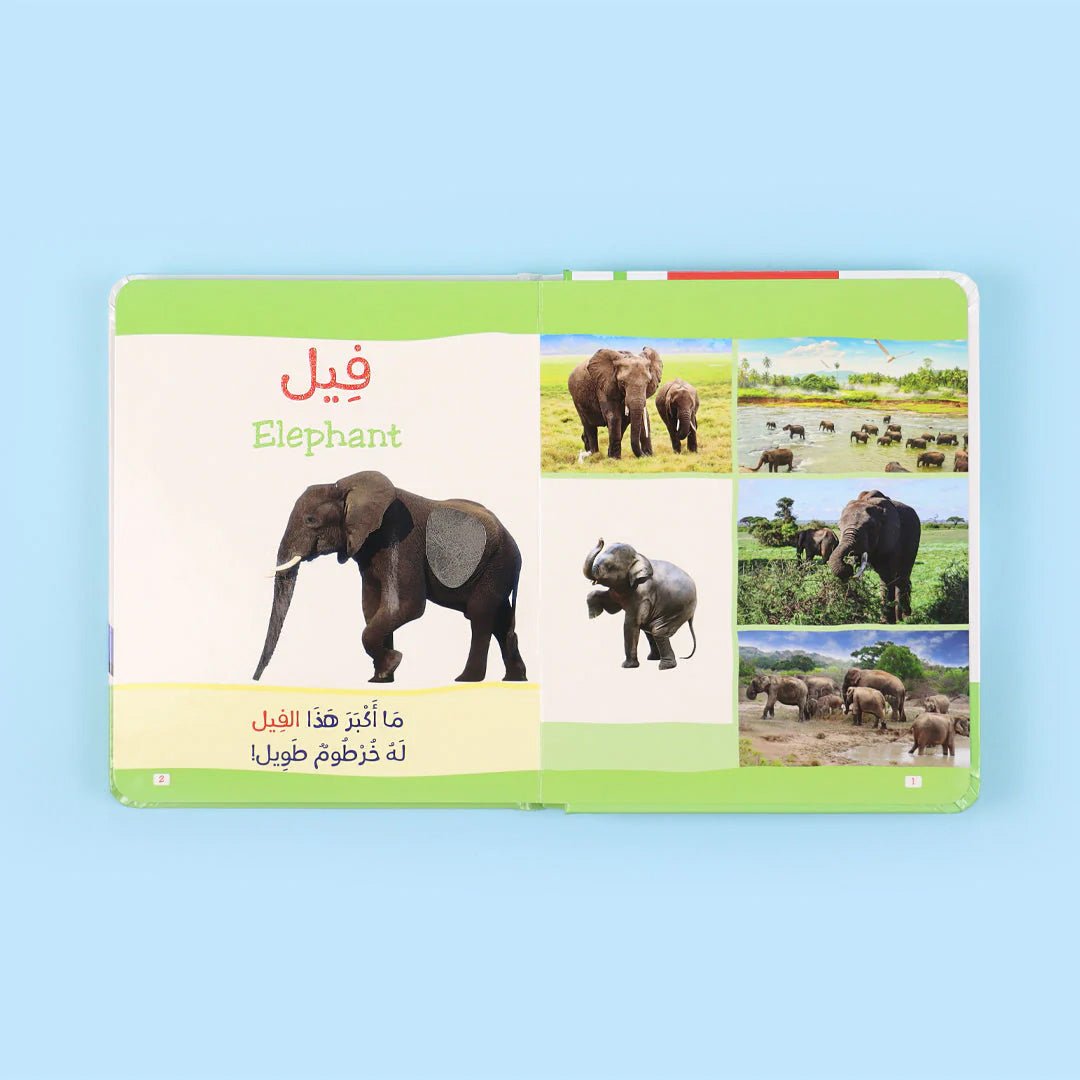 Animals – Educational Activity Book for Kids: Montessori Touch and Learn Book - Fun Learning Store