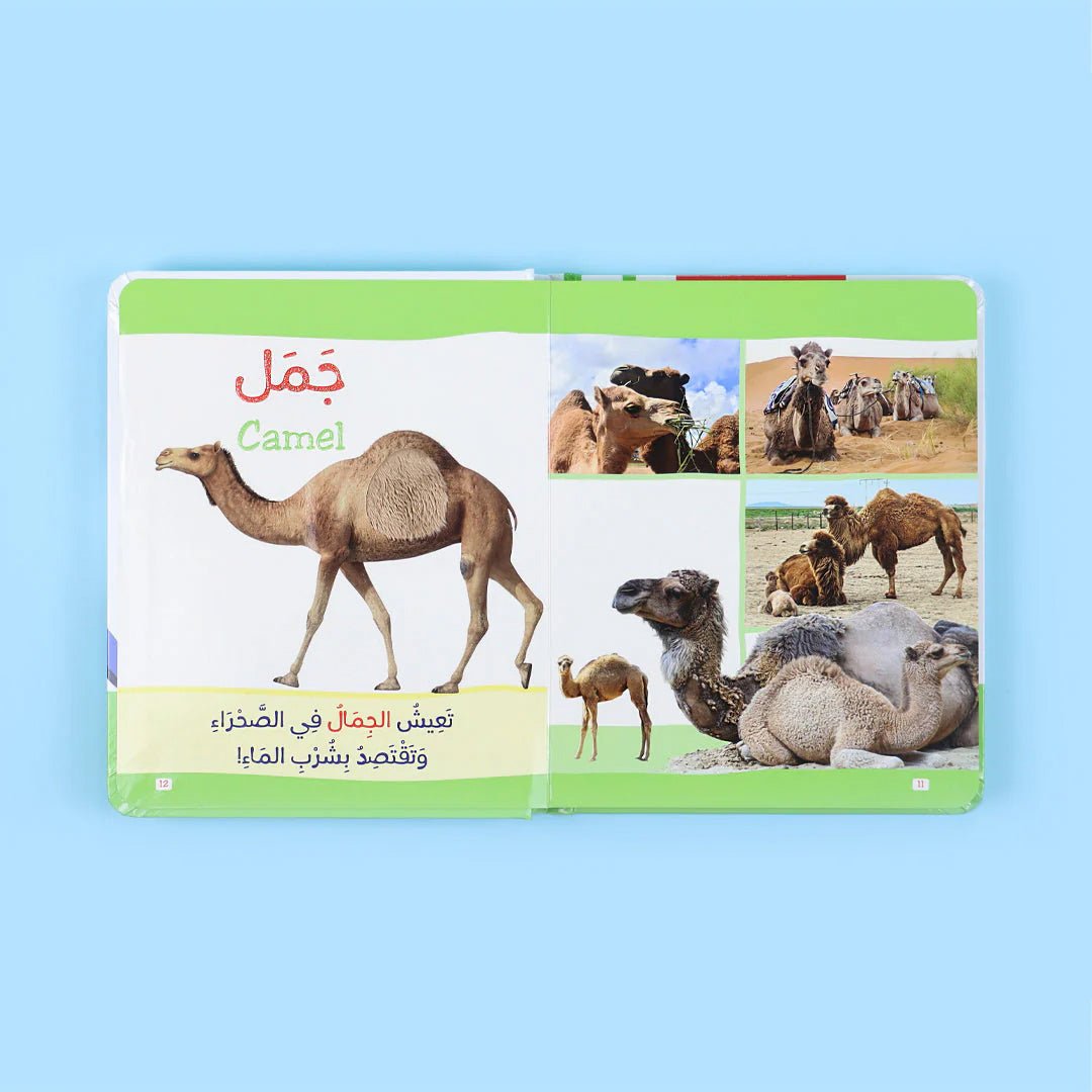 Animals – Educational Activity Book for Kids: Montessori Touch and Learn Book - Fun Learning Store