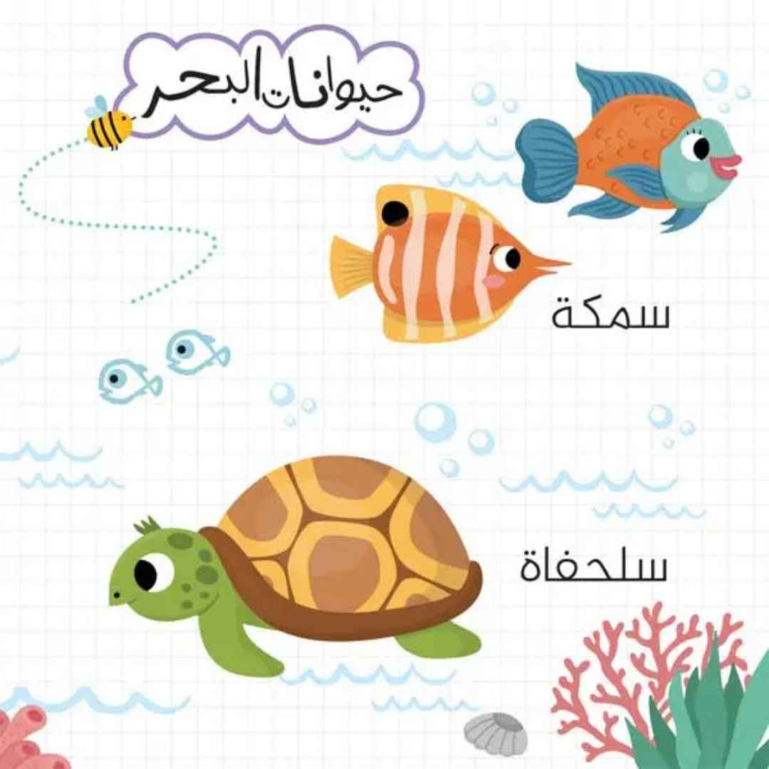 Animals - My First Books 3: A Colorful Safari for Your Little Explorer! - Fun Learning Store