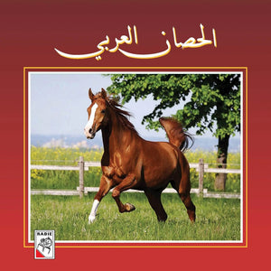 Arabian Horse: A Fascinating Book for Kids |+3 Years - Fun Learning Store