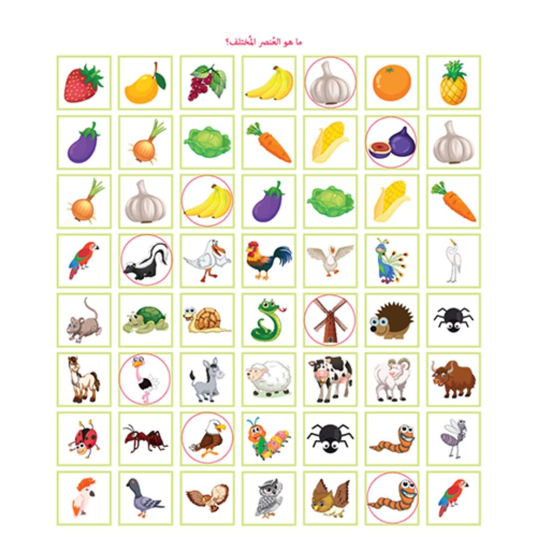 Arabic Alphabet Farm Puzzle - Spot it - Activity Kit For Kids - Fun Learning Store