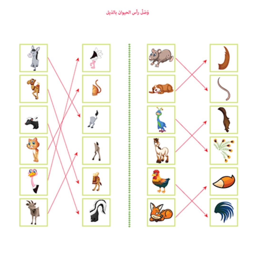 Arabic Alphabet Farm Puzzle - Spot it - Activity Kit For Kids - Fun Learning Store