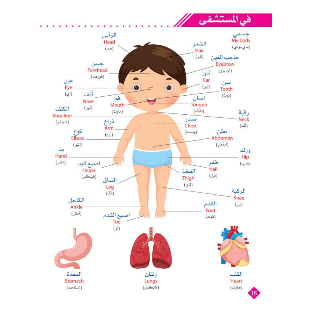 Arabic - English Illustrated Dictionary for Kids: Fun Learning with Vibrant Images - Fun Learning Store