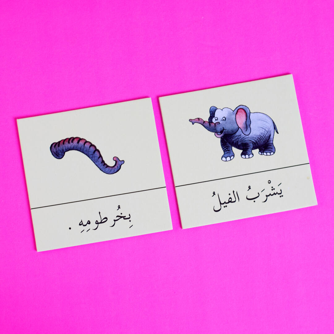 Arabic Simple Sentences Building Game - Fun Learning Store