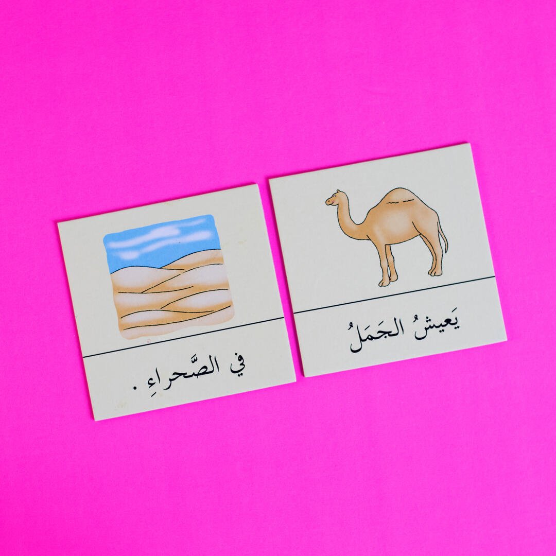 Arabic Simple Sentences Building Game - Fun Learning Store