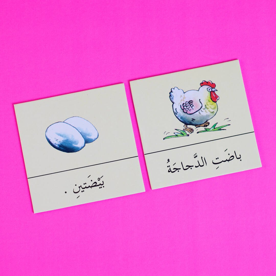 Arabic Simple Sentences Building Game - Fun Learning Store