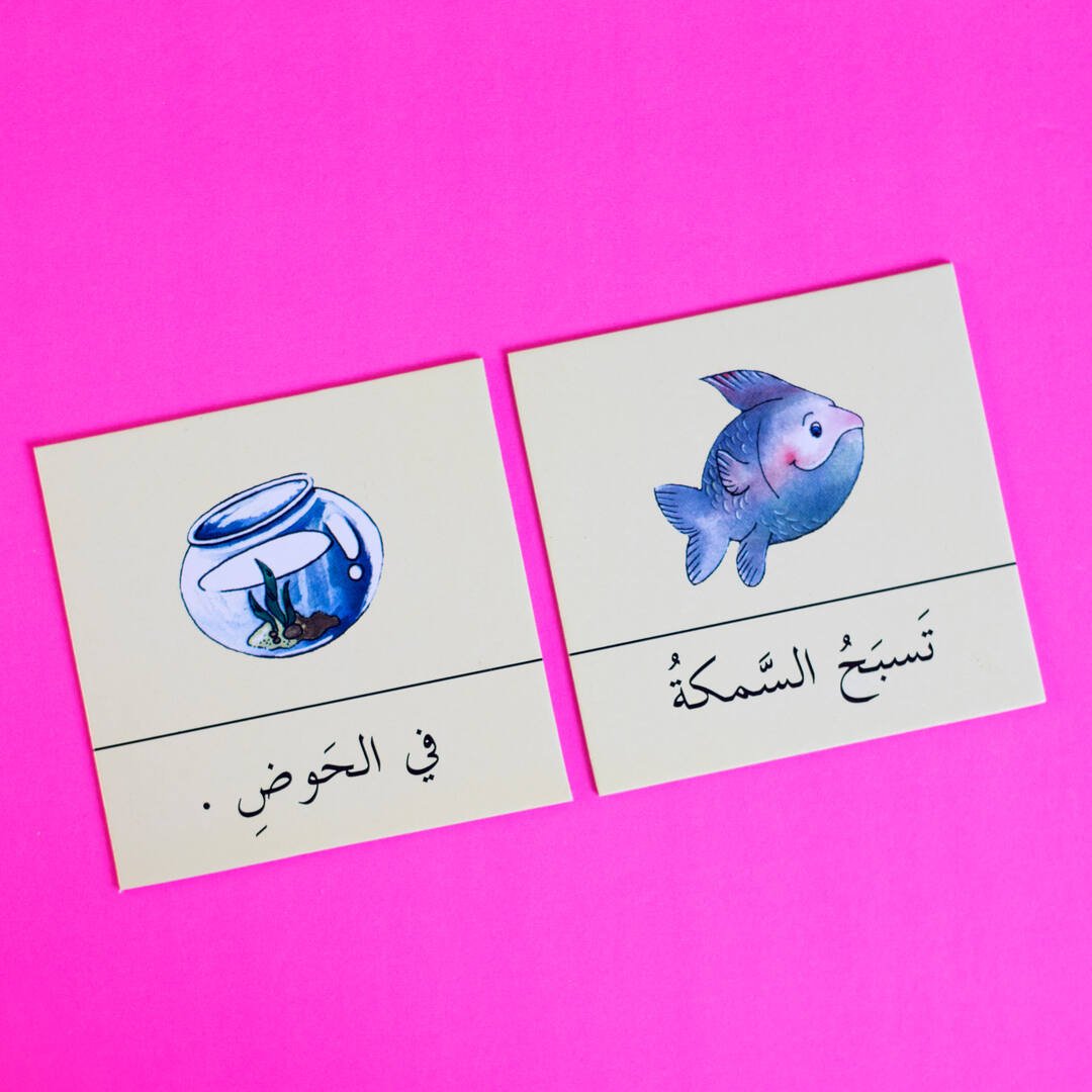 Arabic Simple Sentences Building Game - Fun Learning Store