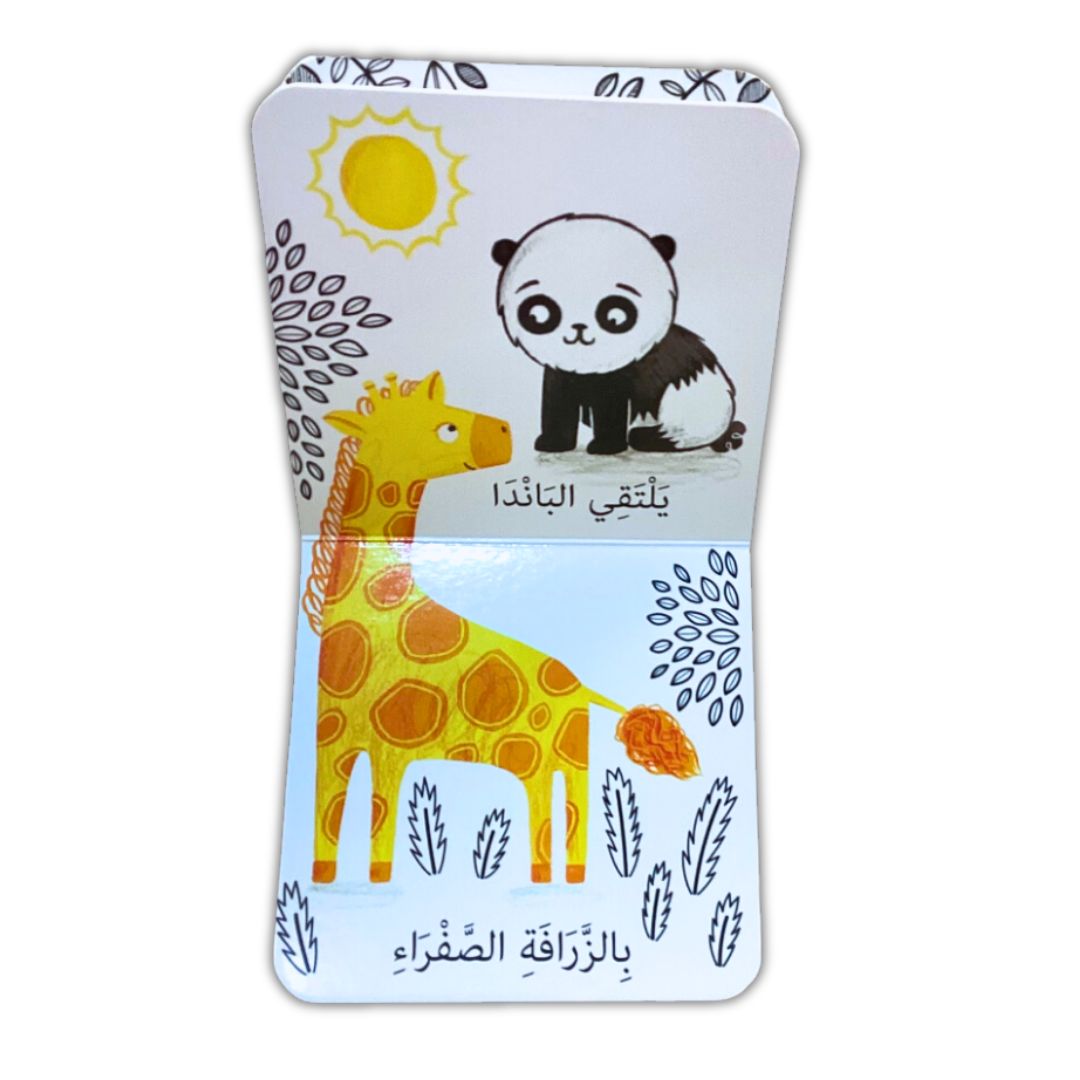 Baby learning Book - animals and colors