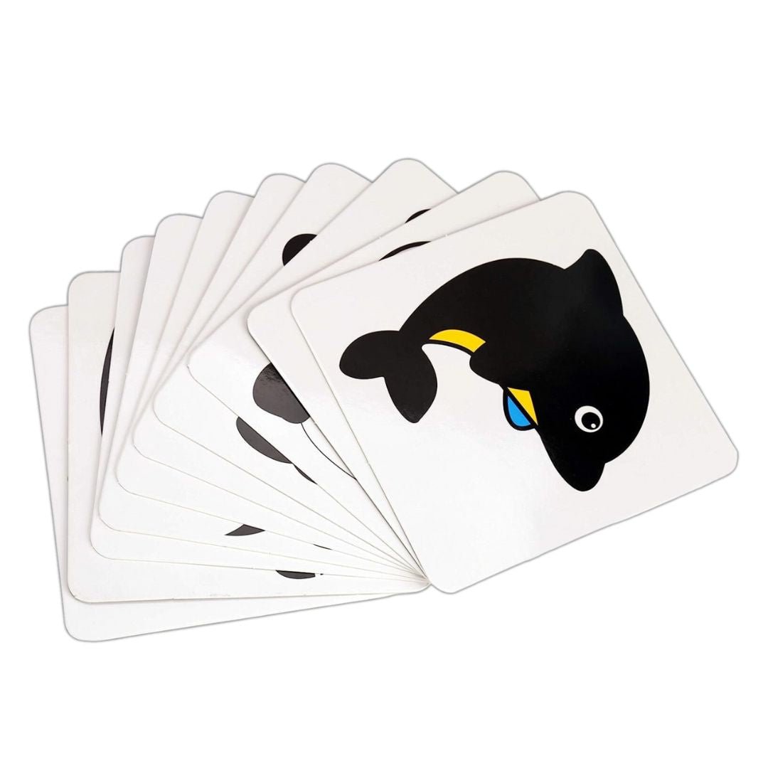 Black and White Flash Cards - Educational Cards Game for Kids - Fun Learning Store