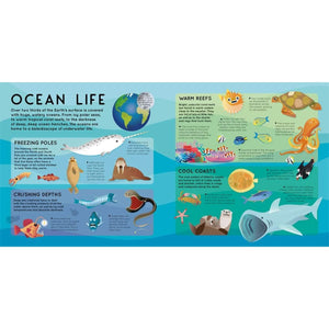 Build A Giant 3D: Ocean Scene - The Ultimate Underwater Adventure Every Curious Kid Needs! - Fun Learning Store