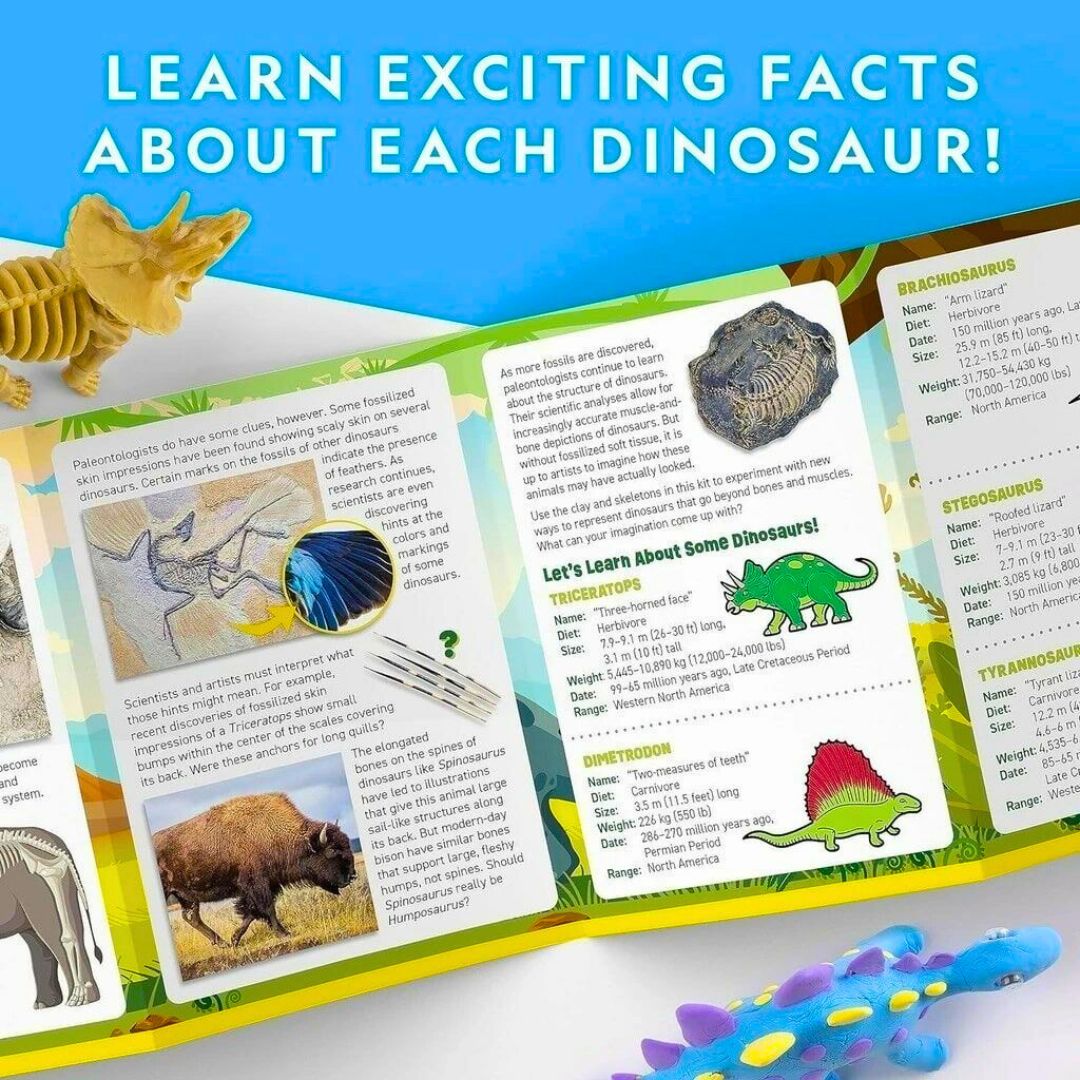 Clay Dinosaur Modeling Kit – Shape, Sculpt & Bring Dinosaurs to Life! - Fun Learning Store