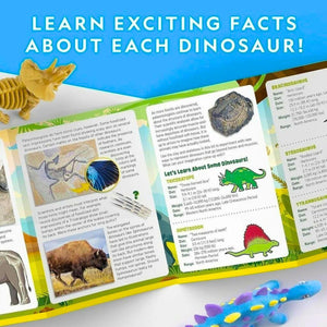 Clay Dinosaur Modeling Kit – Shape, Sculpt & Bring Dinosaurs to Life! - Fun Learning Store