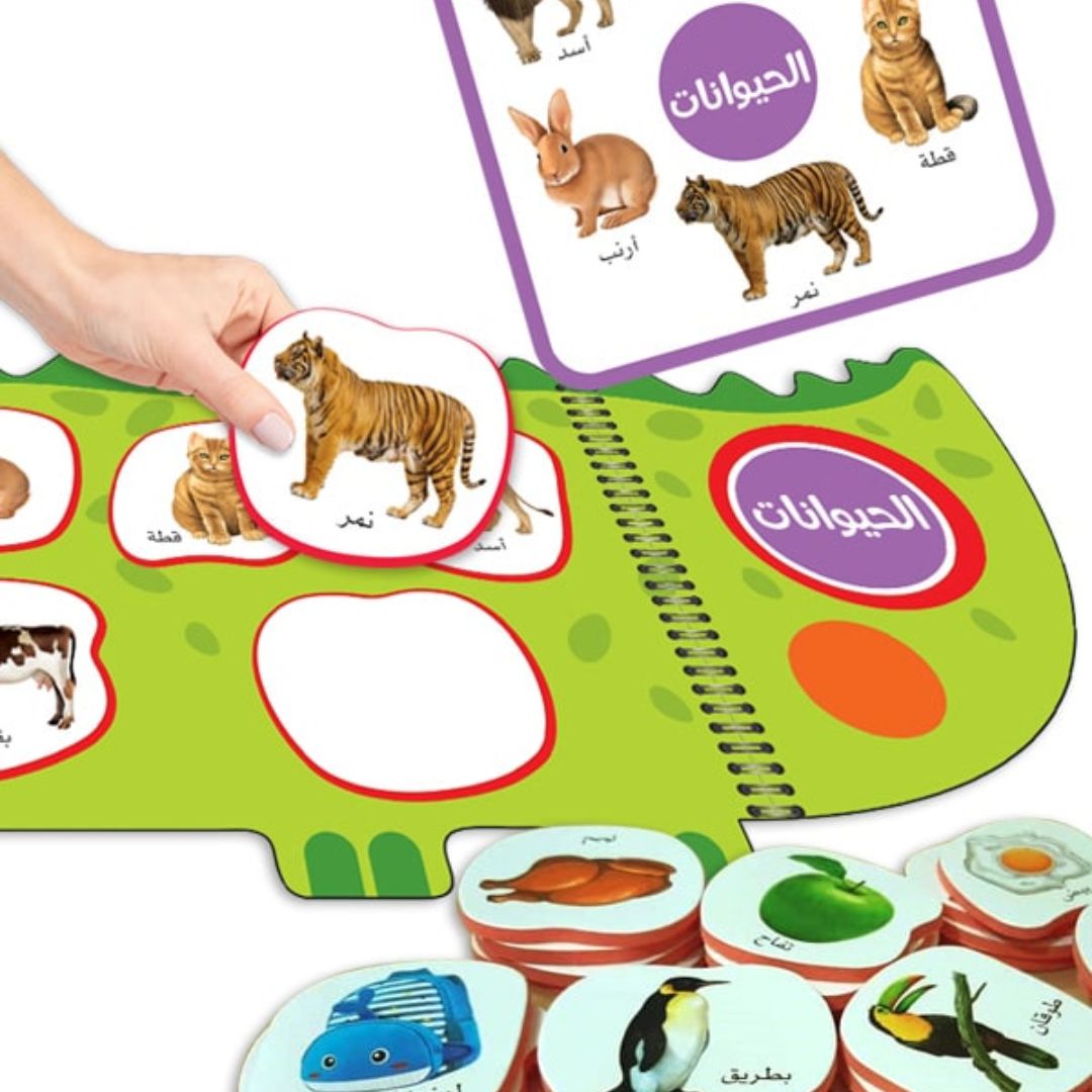 Crocodile Game For Early Education - Arabic - Fun Learning Store