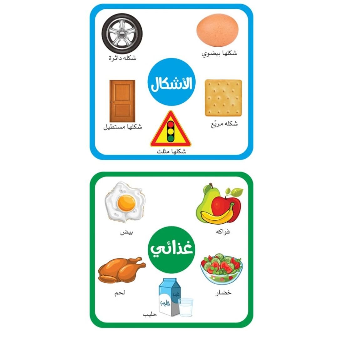 Crocodile Game For Early Education - Arabic - Fun Learning Store