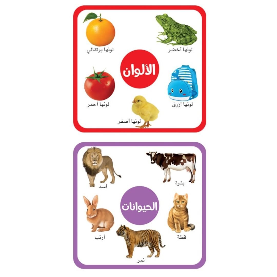 Crocodile Game For Early Education - Arabic - Fun Learning Store