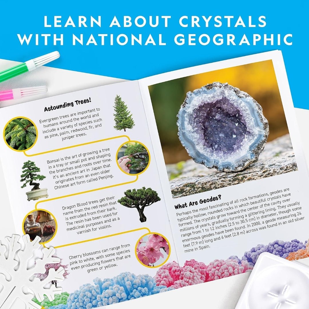 Crystal Forest Kit – Grow 6 Magical Crystal Trees in Just 6 Hours! - Fun Learning Store