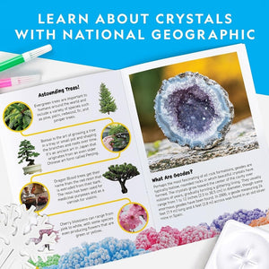 Crystal Forest Kit – Grow 6 Magical Crystal Trees in Just 6 Hours! - Fun Learning Store