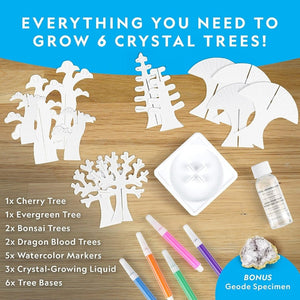 Crystal Forest Kit – Grow 6 Magical Crystal Trees in Just 6 Hours! - Fun Learning Store