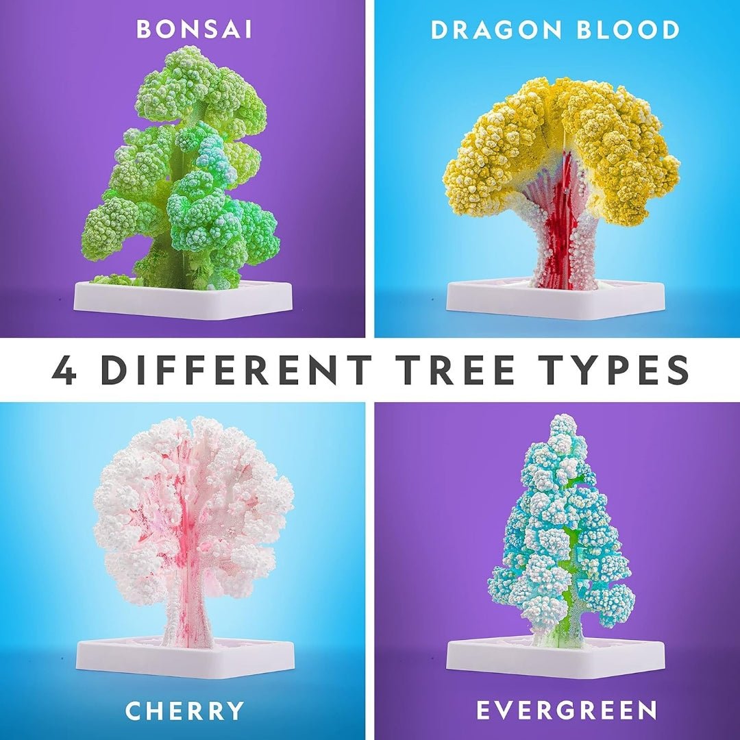 Crystal Forest Kit – Grow 6 Magical Crystal Trees in Just 6 Hours! - Fun Learning Store