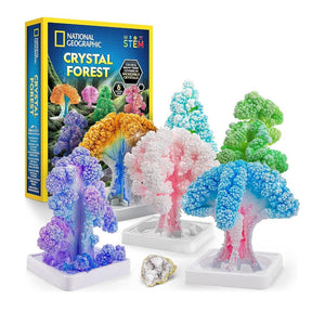Crystal Forest Kit – Grow 6 Magical Crystal Trees in Just 6 Hours! - Fun Learning Store