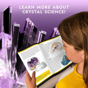 Crystal Growing Lab with Light - Up Display – Grow 6 Stunning Crystals in Days! - Fun Learning Store