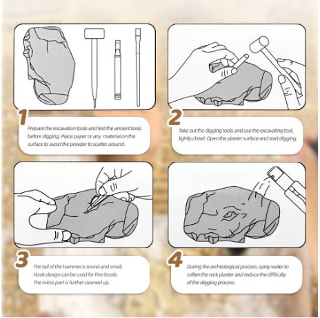 Dinosaur Fossil Digging Kit - Fun Learning Store