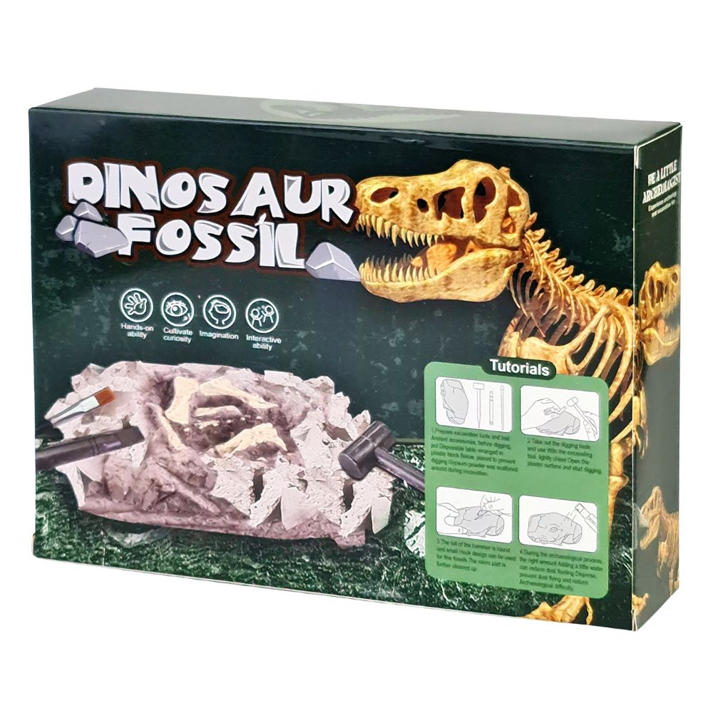 Dinosaur Fossil Digging Kit - Fun Learning Store