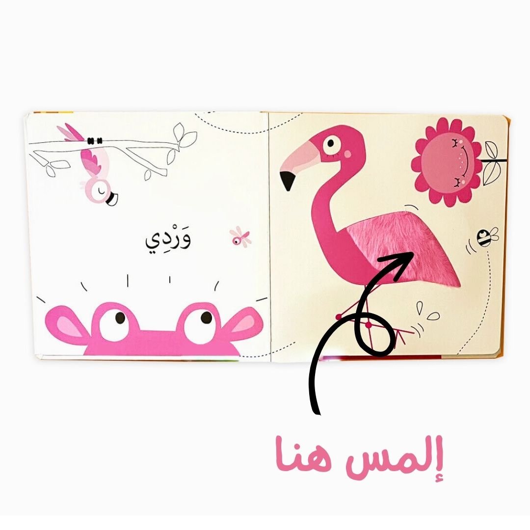 Discover And Touch - The Colors - Fun Learning Store