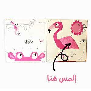 Discover And Touch - The Colors - Fun Learning Store