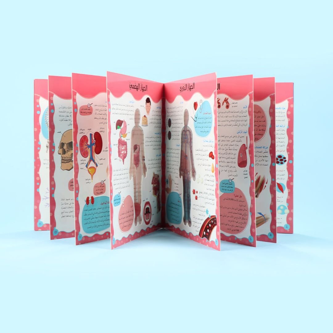 Discover the Human Body - Arabic Edition | Educational Books For Kids - Fun Learning Store