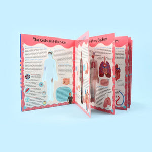 Discover the Human Body - English Edition | Educational Books For Kids - Fun Learning Store
