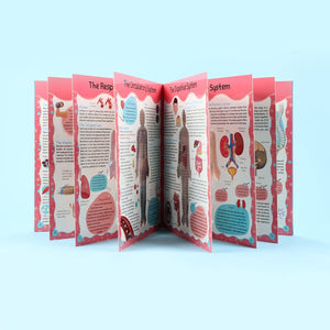 Discover the Human Body - English Edition | Educational Books For Kids - Fun Learning Store