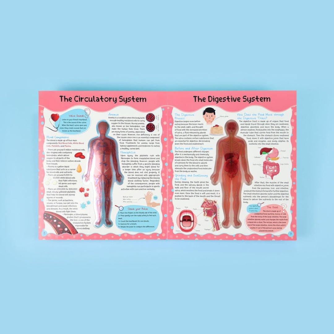 Discover the Human Body - English Edition | Educational Books For Kids - Fun Learning Store